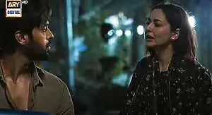 SAJNA DA DIL TORYA song